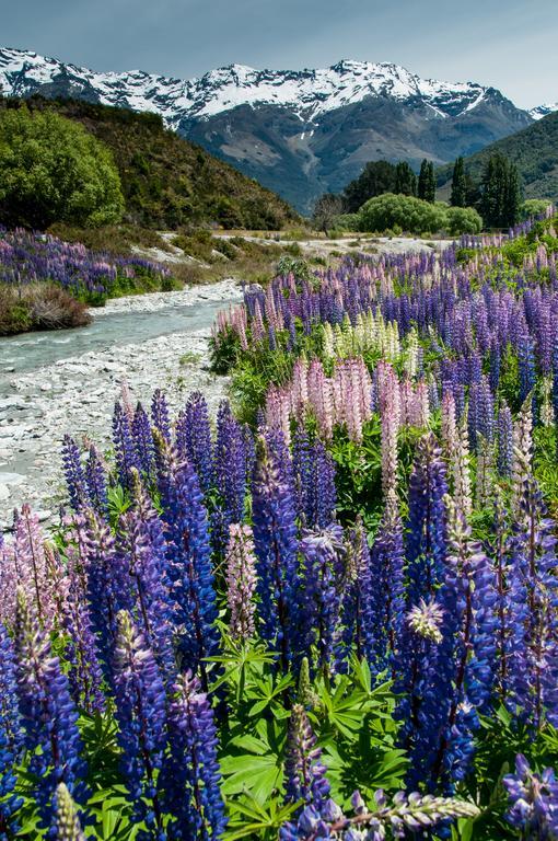 Glenorchy Peaks Bed And Breakfast Exterior photo