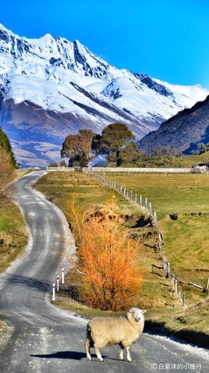 Glenorchy Peaks Bed And Breakfast Exterior photo